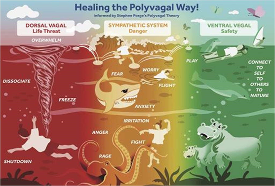 Healing the Polyvagal Way!